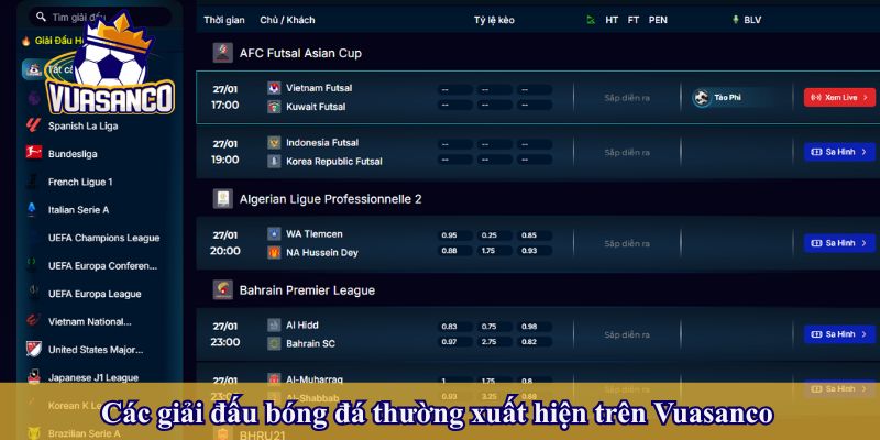 Các giải đấu bóng đá thường xuất hiện trên Vuasanco
